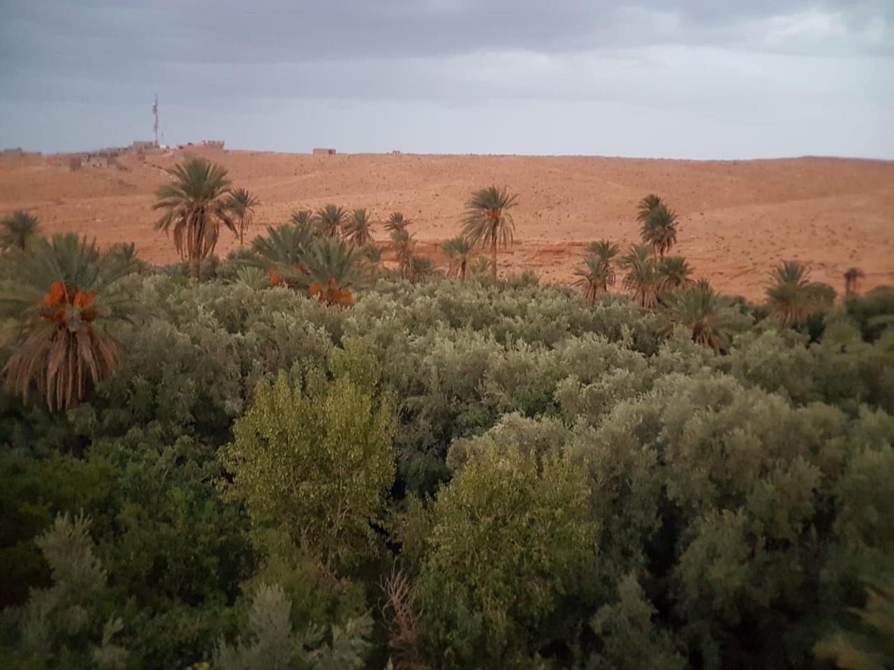 Riad Dar Bab Todra タンギール エクステリア 写真